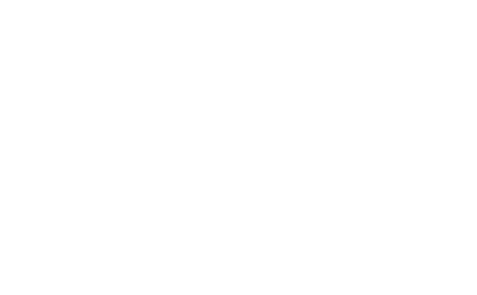ertek cam